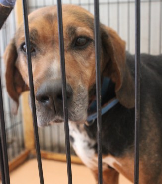 Daisy es una de las decenas de habitantes del albergue. Al igual que los demás, llegó aquí después del tsunami de 2011